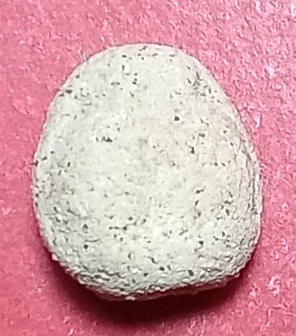 20250713_165507.jpg