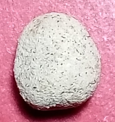 20250713_165516.jpg