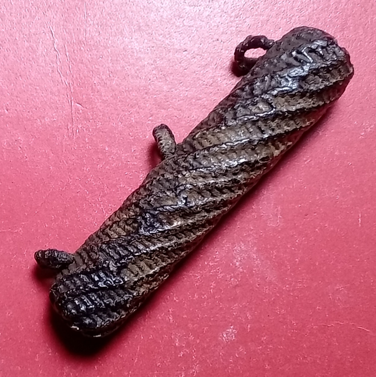 20260409_160617.jpg