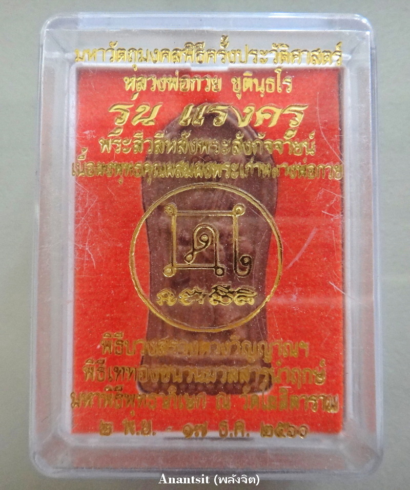 P1.JPG